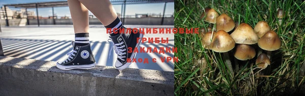 2c-b Верхнеуральск
